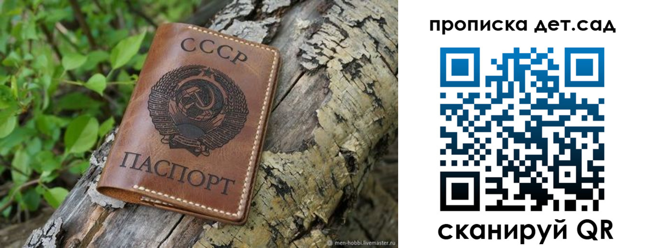 прописка иностранных граждан в Бердске